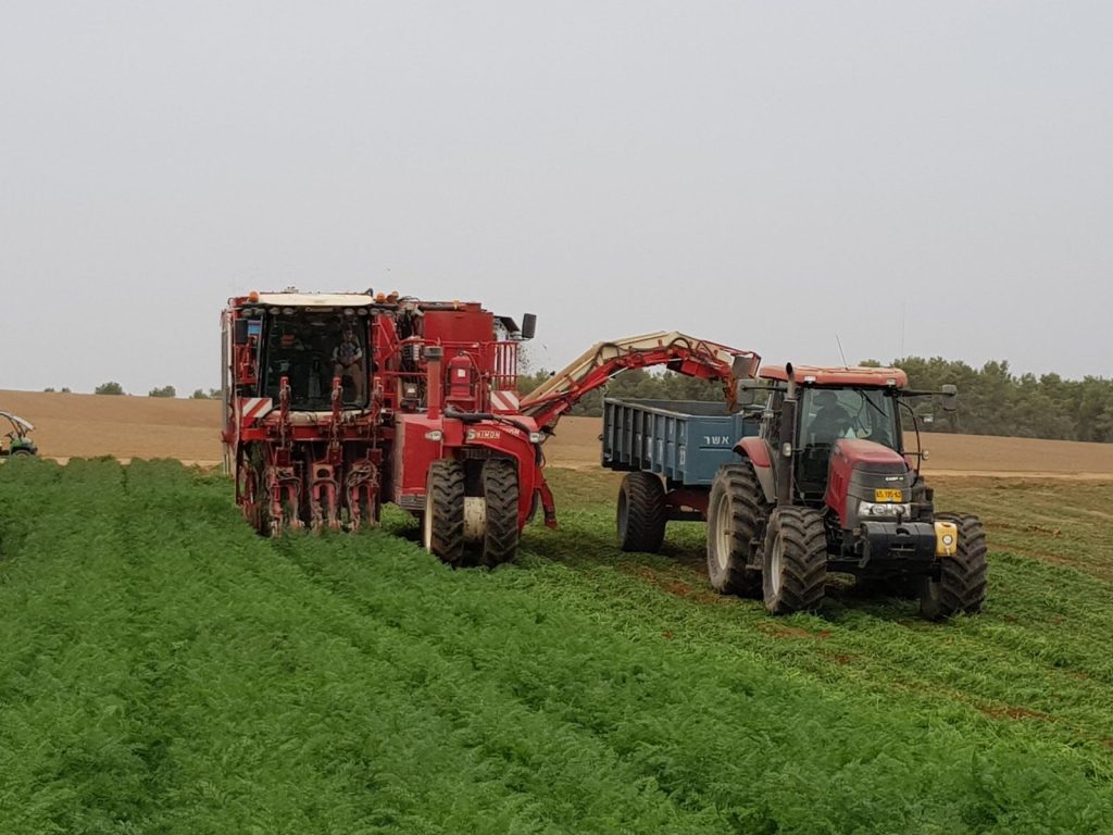 tractor on the farm